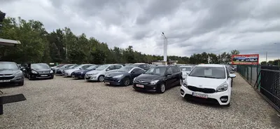 Auto Komis Carkadia